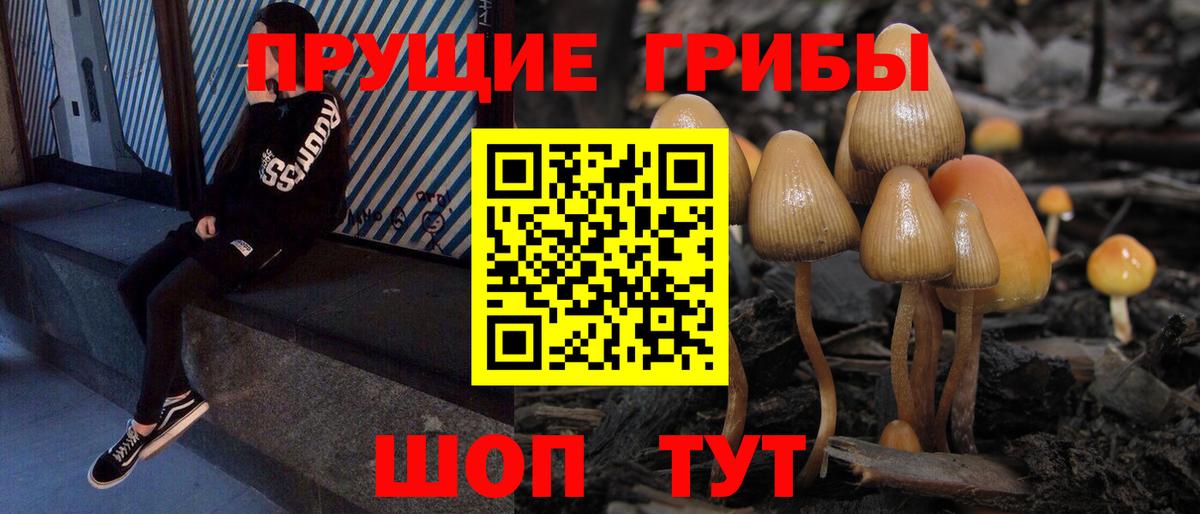 Псилоцибиновые грибы мухоморы Каспийск